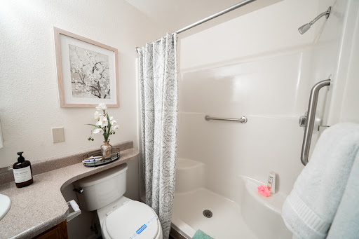 A modern and clean bathroom setup featuring a shower, toilet, and decorative elements.