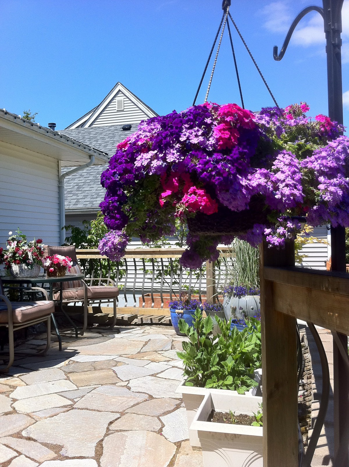 A sunny patio adorned with vibrant hanging flowers and comfortable outdoor furniture.