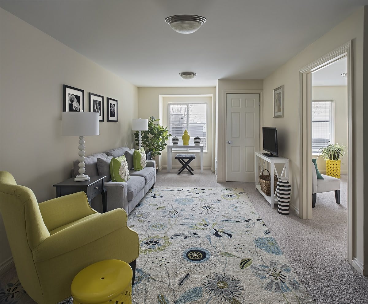 A stylish and cozy living room with modern furniture and decor.