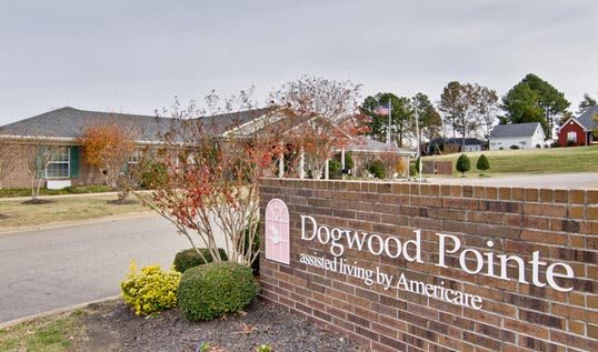 Entrance sign for Dogwood Pet, surrounded by landscaped greenery.