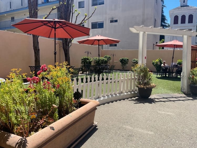 A sunny outdoor patio area with umbrellas, flowers, and seating.
