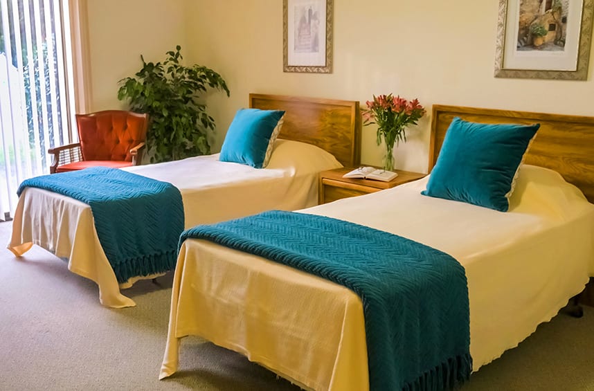 A cozy bedroom featuring two twin beds with teal blankets and pillows, a potted plant, and a simple decor.
