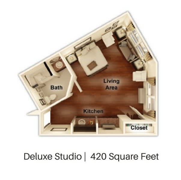 Deluxe Studio Apartment Layout - 420 Square Feet