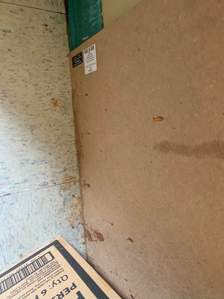 Image showing a wall with signs of water damage and staining.