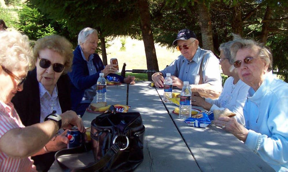 A group of seniors enjoying a picnic at a park.