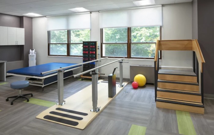 A well-equipped physical therapy room featuring parallel bars and exercise balls.