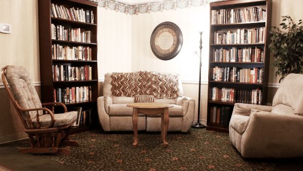 A cozy living room with bookshelves, a comfortable sofa, and decorative elements.