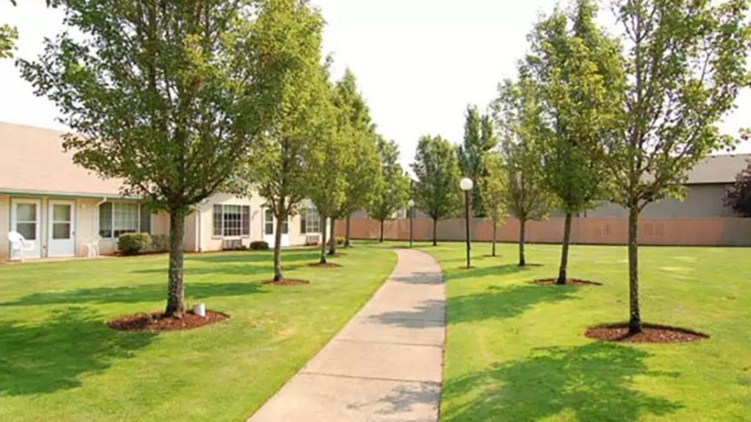A serene pathway lined with trees and well-manicured lawns.