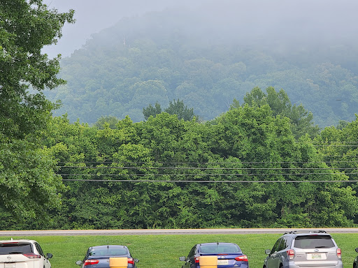 A serene view of fog-covered mountains in the distance, surrounded by lush greenery and parked cars.