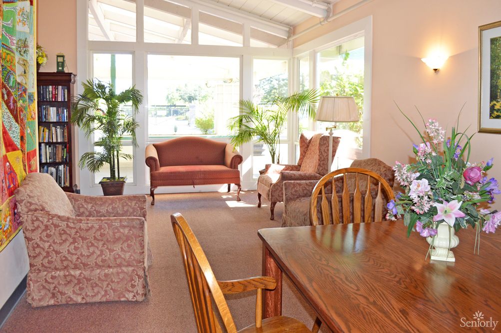 A cozy sunlit living room featuring comfortable furniture and lush indoor plants.