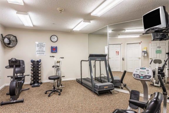 A small indoor gym featuring a treadmill, weights, and various exercise equipment.