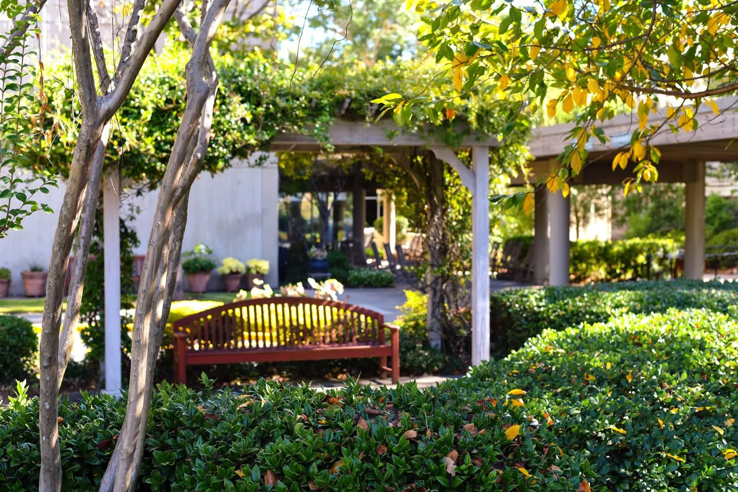 Clairmont Oaks