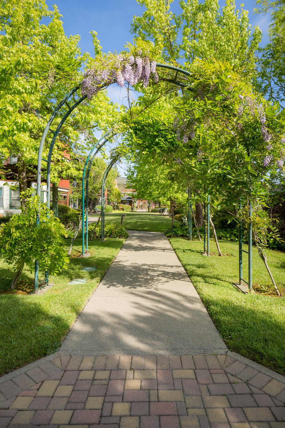 A scenic garden pathway with an archway overhead, surrounded by lush green foliage.