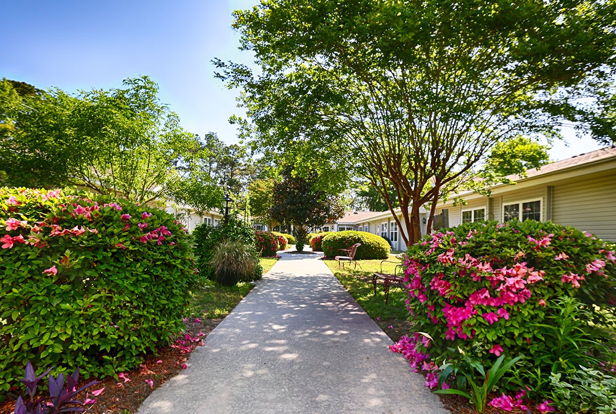 A serene garden pathway surrounded by vibrant flowers and lush trees on a sunny day.