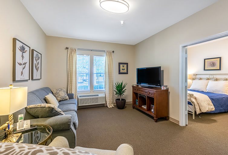 A cozy living room with a sofa, television, coffee table, and decor elements like a plant and framed pictures.