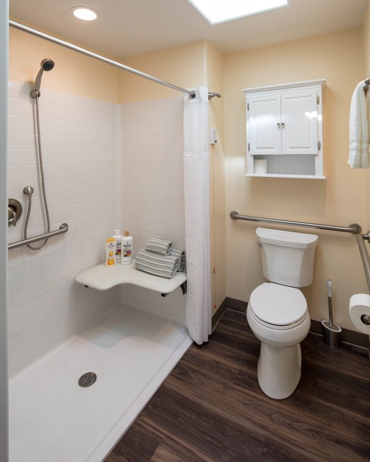 An accessible bathroom with a walk-in shower, grab bars, and a toilet.