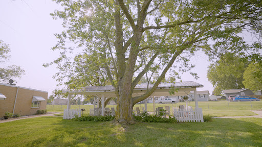 A serene outdoor scene featuring a large tree providing shade over a pavilion nestled in a lush garden.