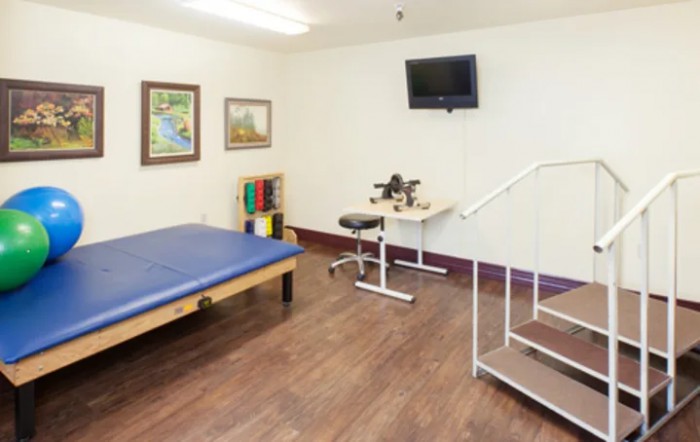 The Pines At Placerville Healthcare Center