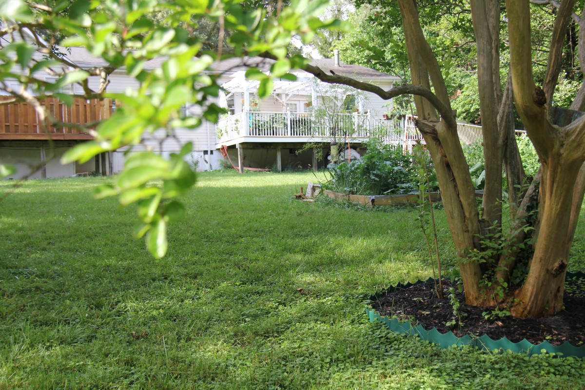 Rose Garden Residence