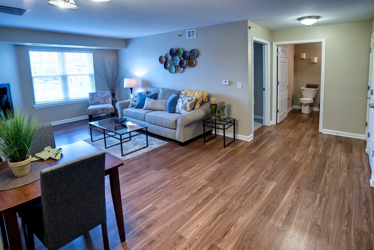 A modern living room with hardwood floors and stylish furnishings.