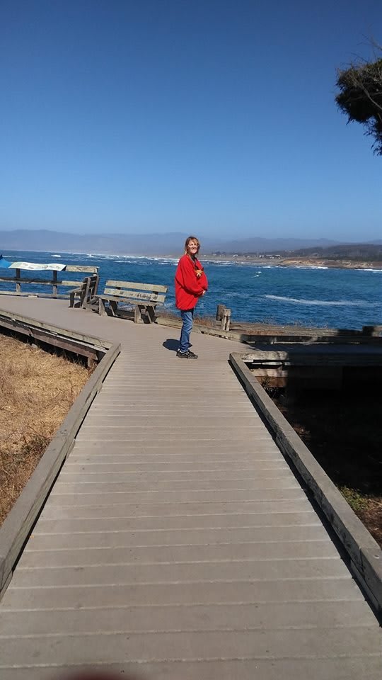 A person in a red jacket stands on a wooden walkway overlooking the ocean.