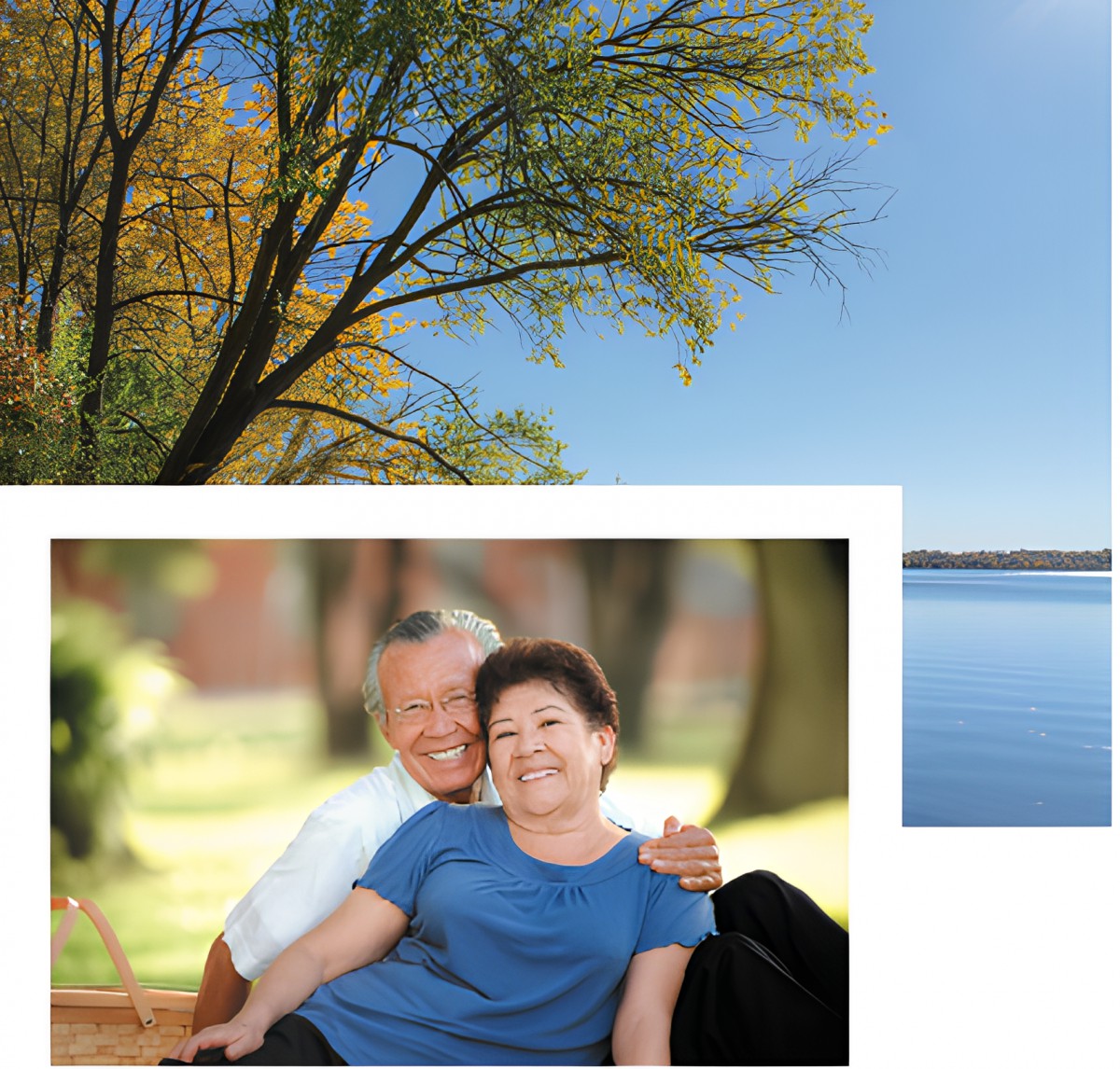 An elderly couple seated together in a park, enjoying a sunny day surrounded by nature.