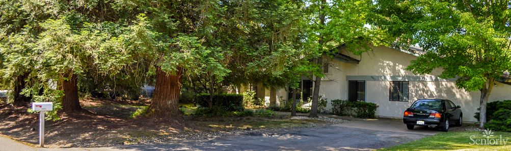 A residential house surrounded by lush green trees and foliage, with a street view in the foreground.