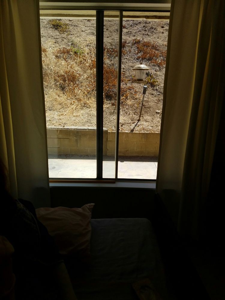 A view from inside a room looking through a window with curtains, showing an outdoor scene.