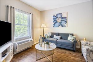A cozy living room with a blue sofa, decorative pillows, and a coffee table. The walls are adorned with a large floral artwork, and natural light streams through the window.