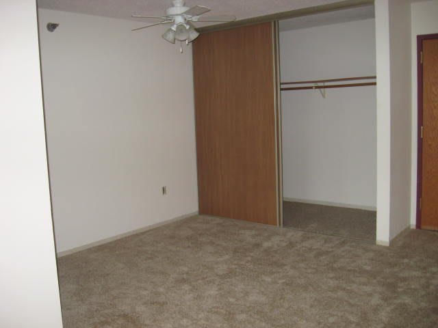 An empty room with a carpeted floor, ceiling fan, and sliding closet doors.