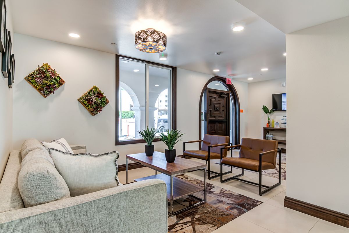 A modern living room with stylish furniture and decorative plants.