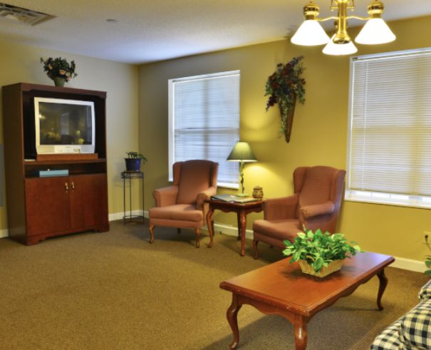 A cozy living room with comfortable armchairs, a television, and decorative elements.