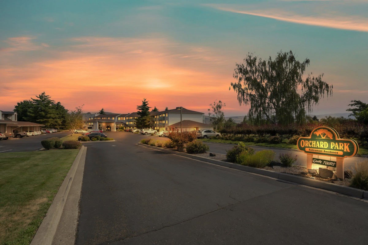 A scenic sunset view over a quiet road lined with trees and greenery.