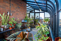 A lush indoor greenhouse with a variety of plants and a city view in the background.