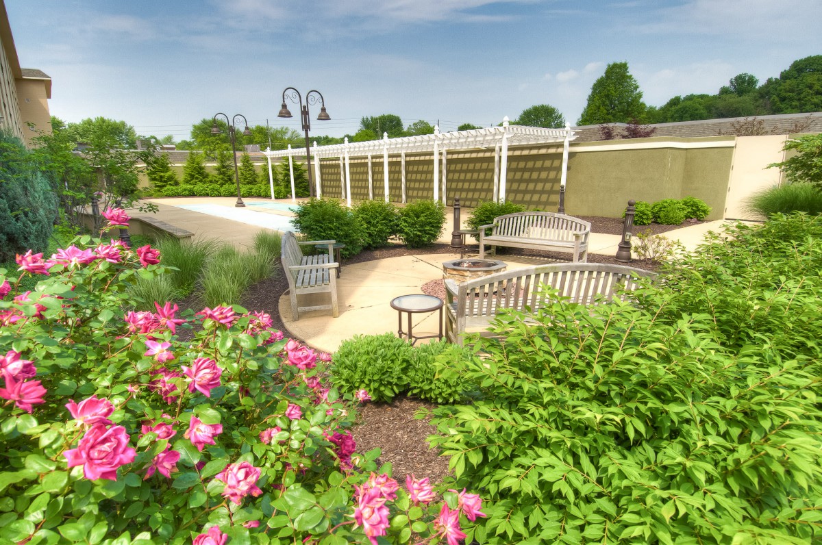 A beautiful garden featuring vibrant pink flowers, wooden benches, and a pergola, set against a sunny landscape.