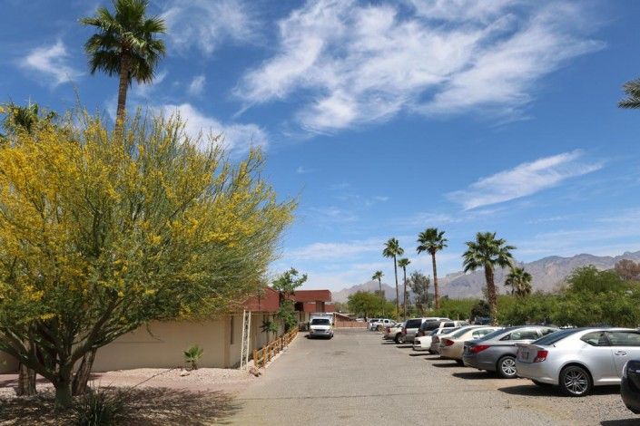 A sunny day in a parking lot lined with palm trees and desert plants under a cloudy sky.