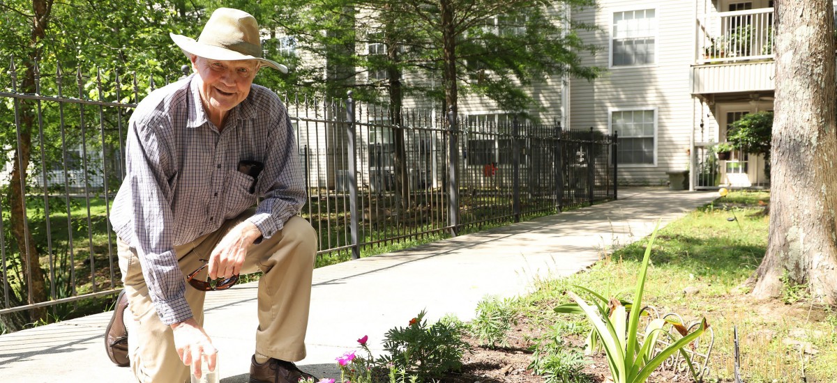 A man wearing a hat is tending to a garden outdoors on a sunny day.