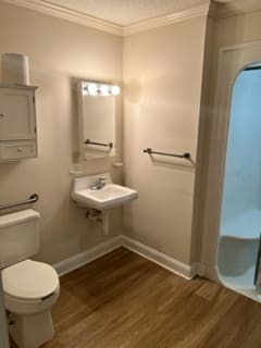 A modern bathroom with a sink, mirror, toilet, and shower.