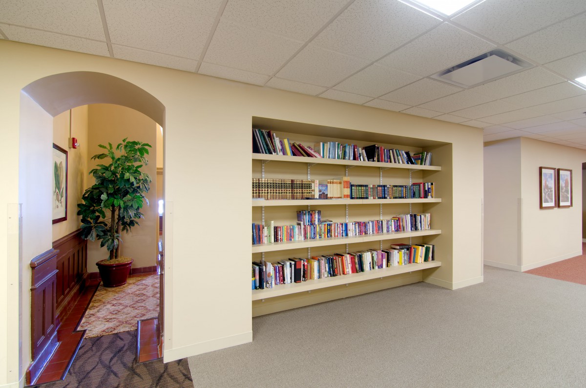 A quiet library corner featuring a filled bookshelf and a nearby plant.