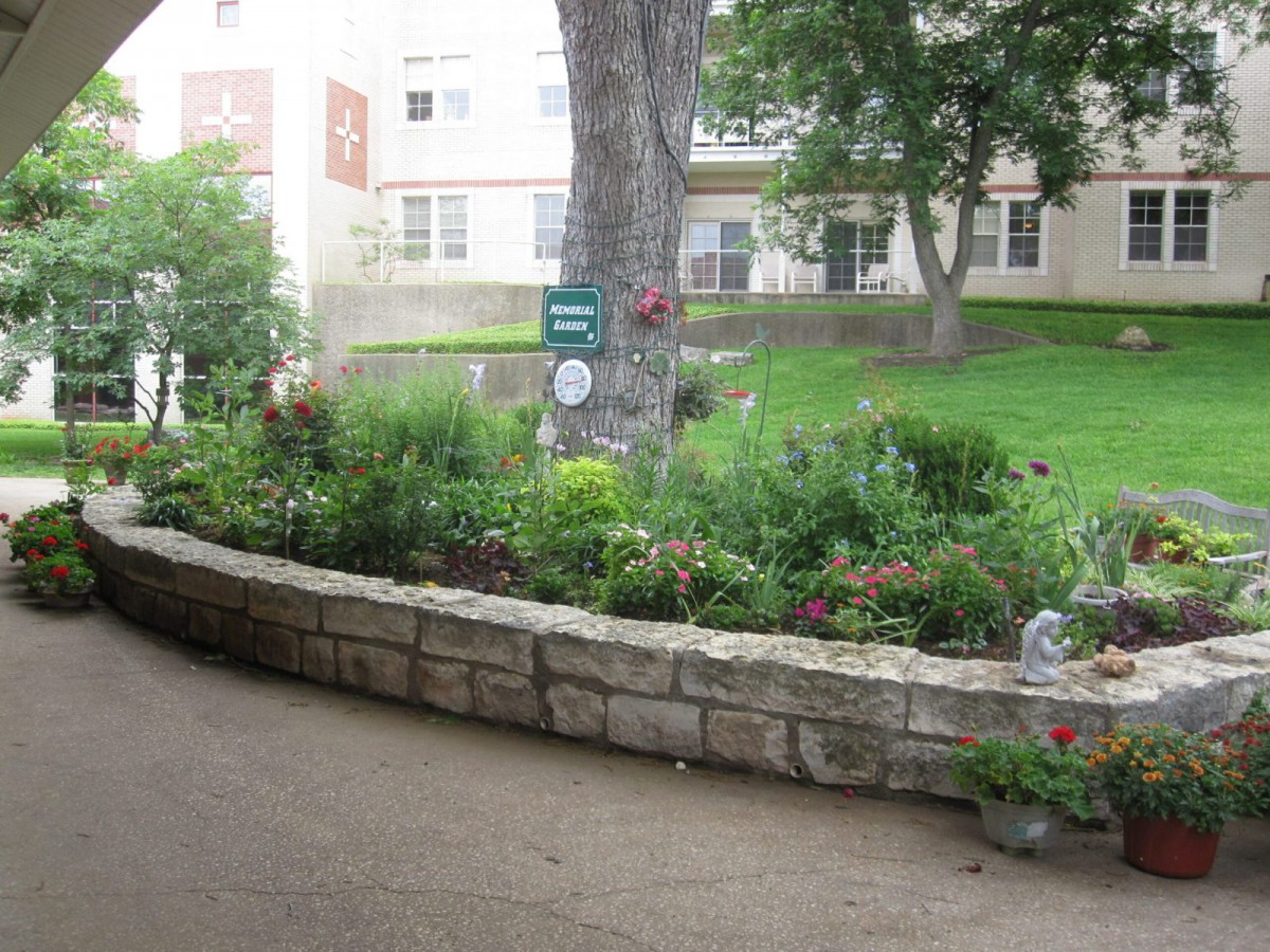 A lush garden with a stone border, filled with various plants and flowers.