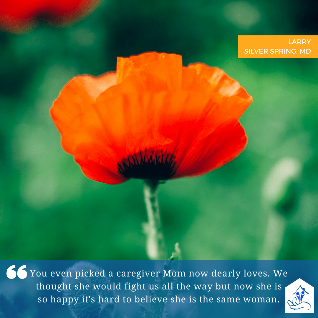 AllCare Advanced Home Care - Fulton
