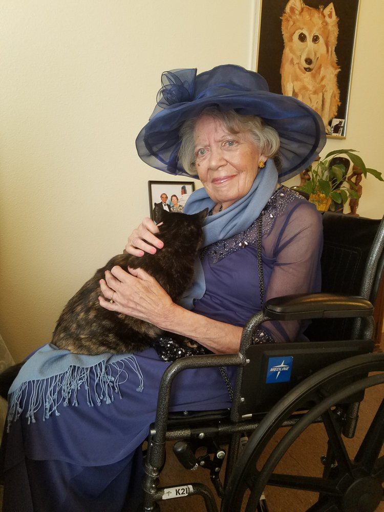 An elderly woman in a wheelchair, wearing a blue hat and dress, holding a cat.