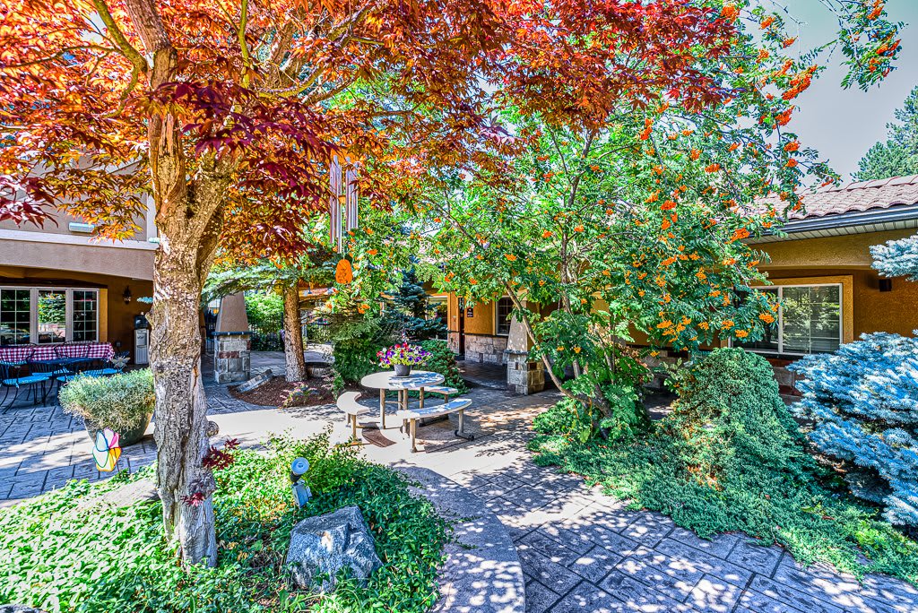 A serene garden patio surrounded by vibrant autumn foliage.