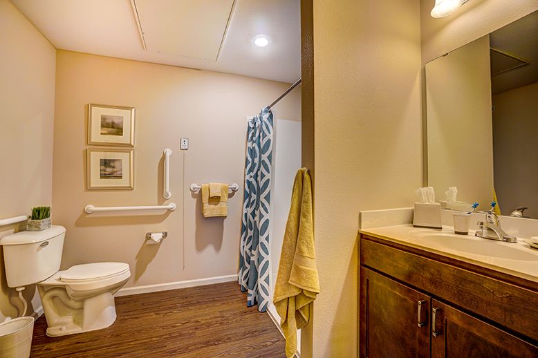 A well-lit bathroom with a shower curtain, toilet, and wooden flooring.