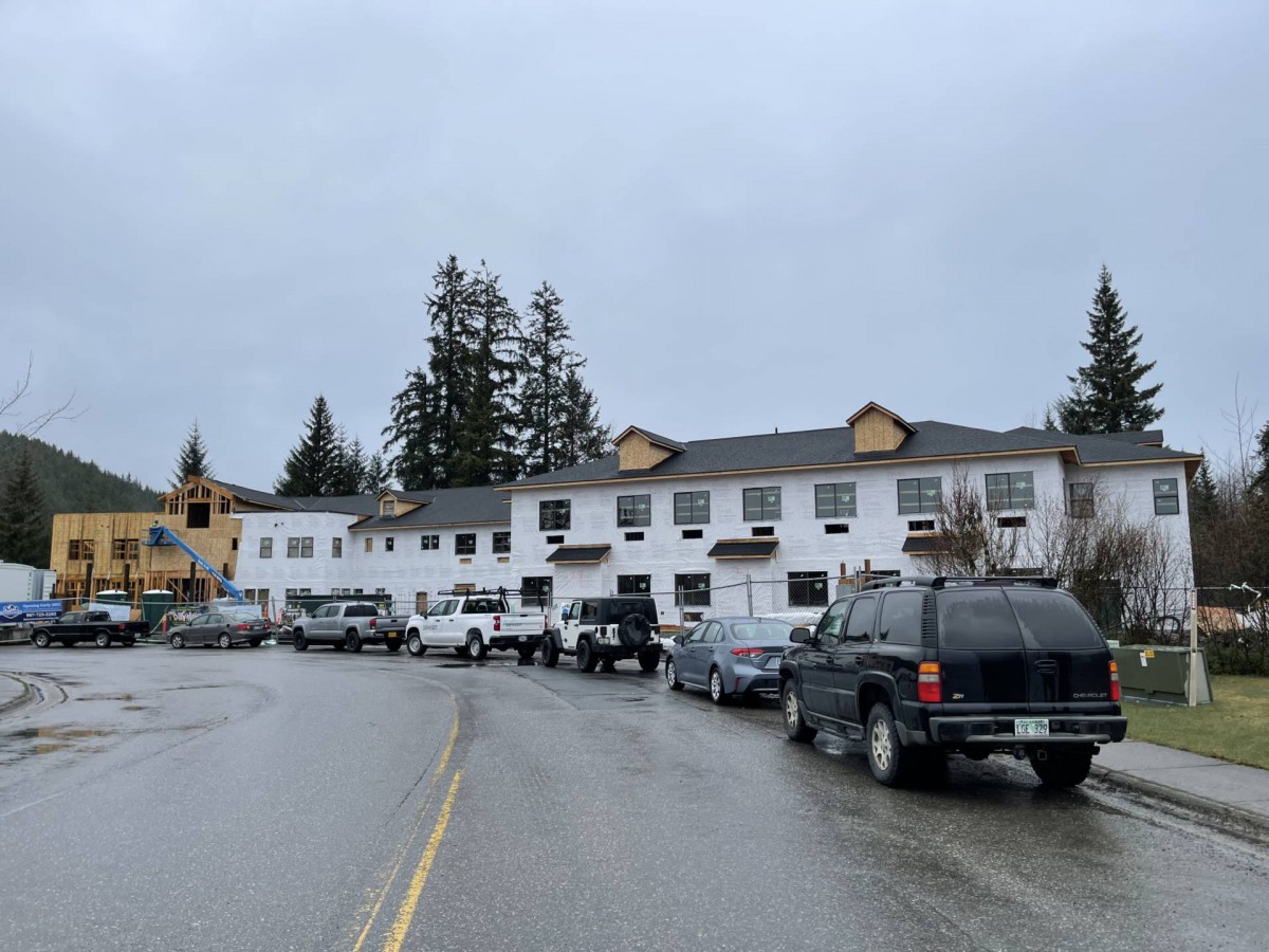 A row of parked cars in front of a white building on an overcast day.
