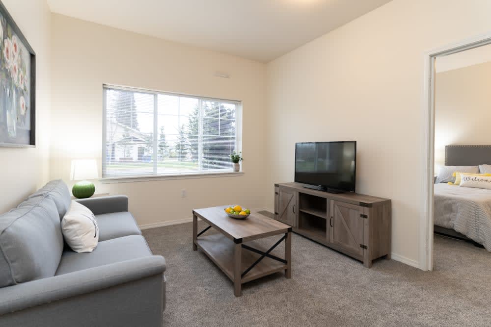 A modern living room with a sofa, coffee table, and television.
