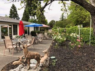 A peaceful garden patio with colorful umbrellas and a deer statue amidst lush greenery.