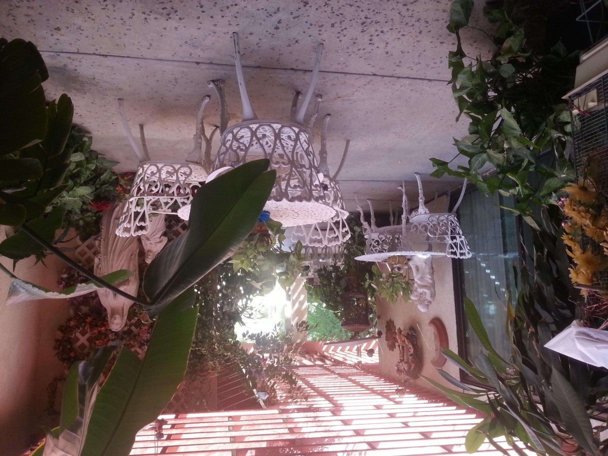 A beautiful outdoor space adorned with plants and decorative hanging lights.