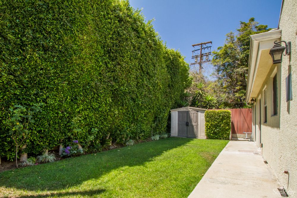A well-maintained garden with a tall hedge, green lawn, and a small shed under a clear blue sky.