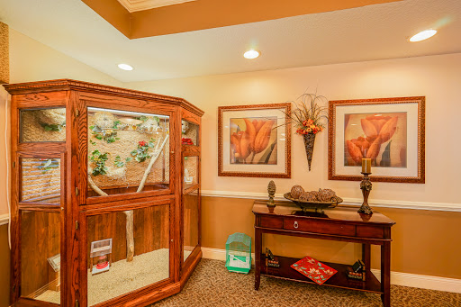 A cozy interior featuring decorative artwork, a display case, and stylish furniture.